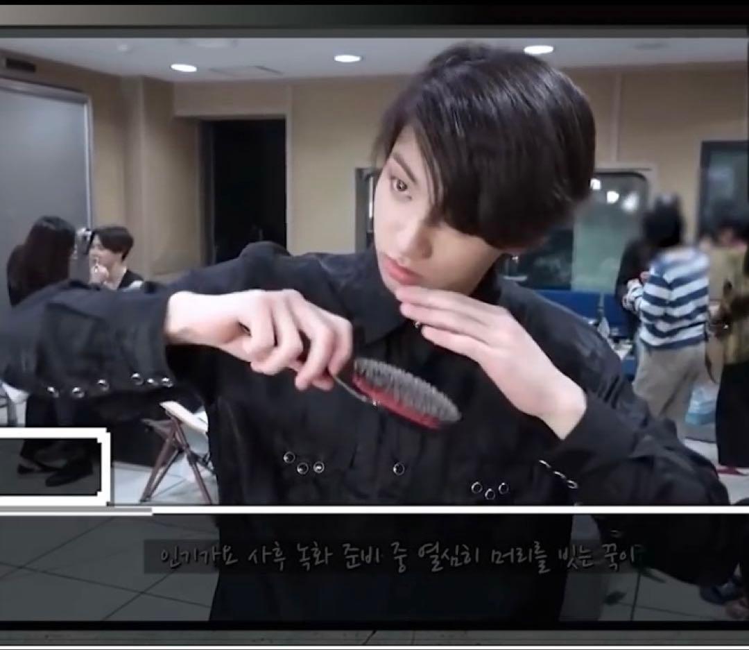 きなこ　　メイソンピアソン　ジュニアミックス　MASON PEARSON