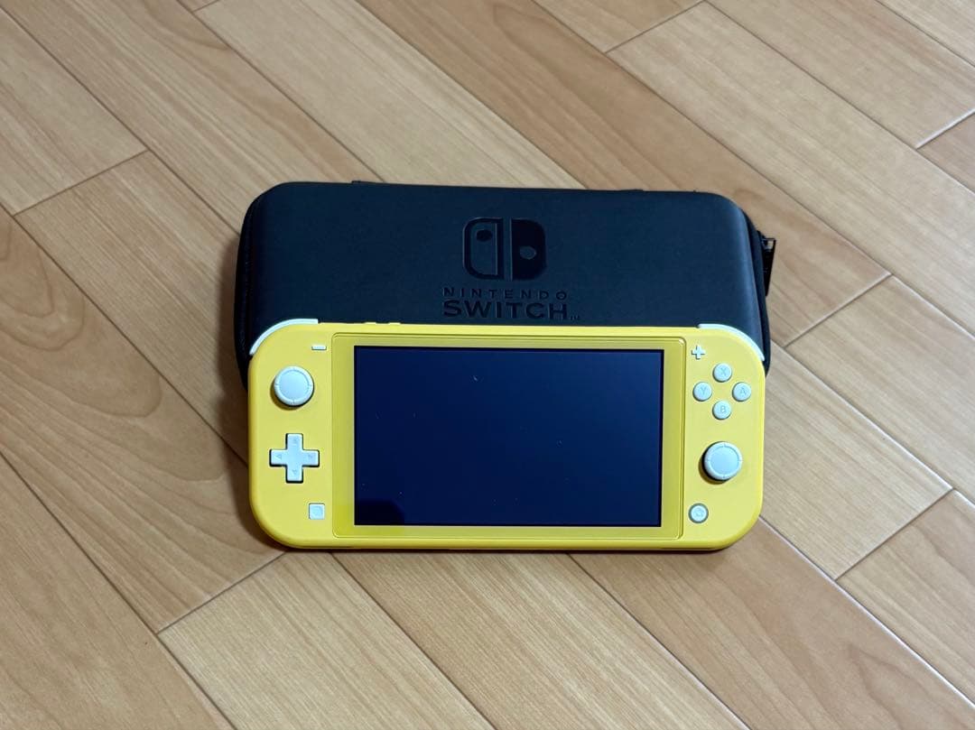 Nintendo Switch Lite 本体 充電器 ソフト ケース付き 美品