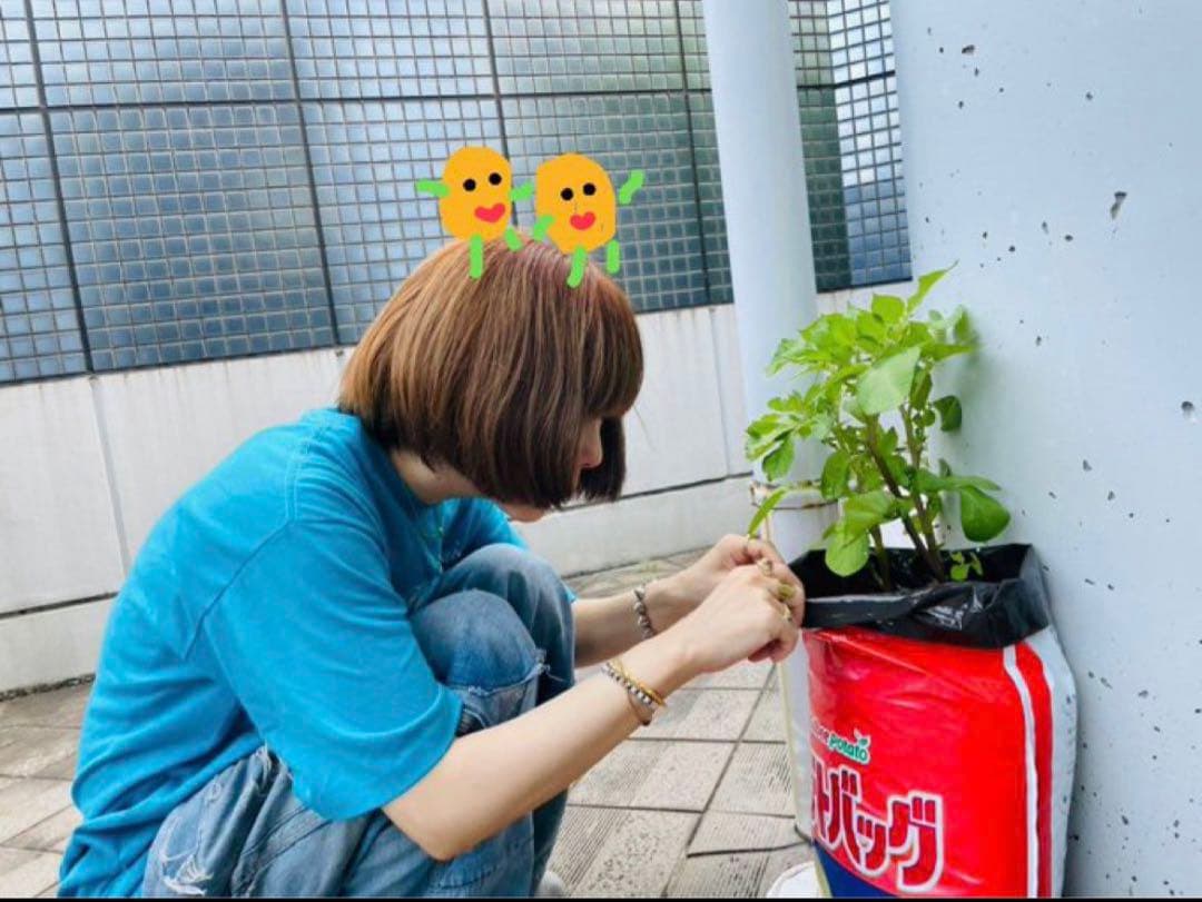 aiko着 e.m. イーエム シルバー スタッズ バングル