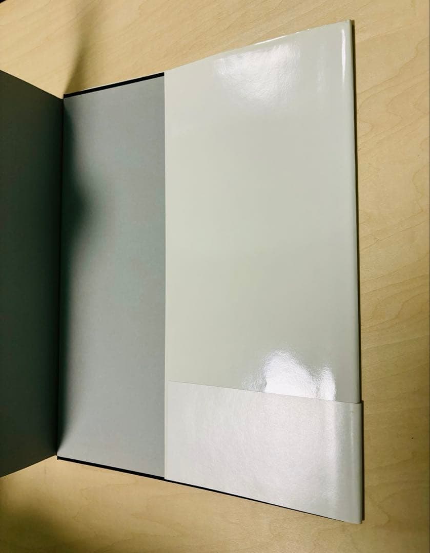 Girls : 石ノ森章太郎美女画集 2nd.