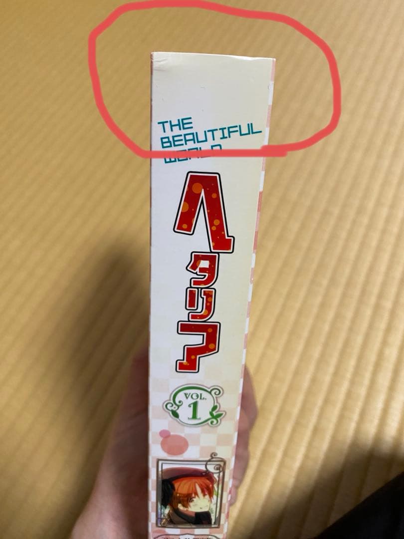 ヘタリア The Beautiful World アニメイト限定収納ボックス付き