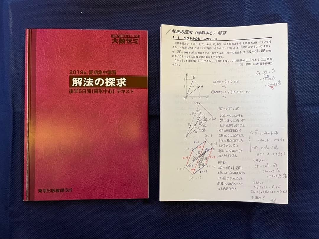 大数ゼミ 解法の探求 図形中心