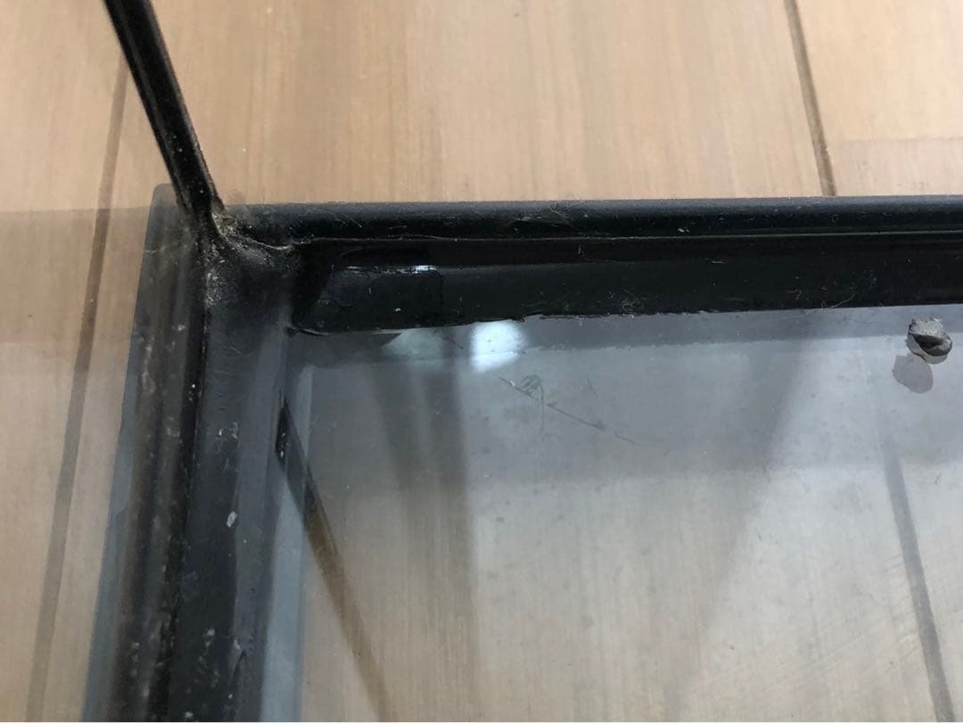 蛮太郎【引き取り限定】GEXジェックス エキゾテラグラステラリウム6045