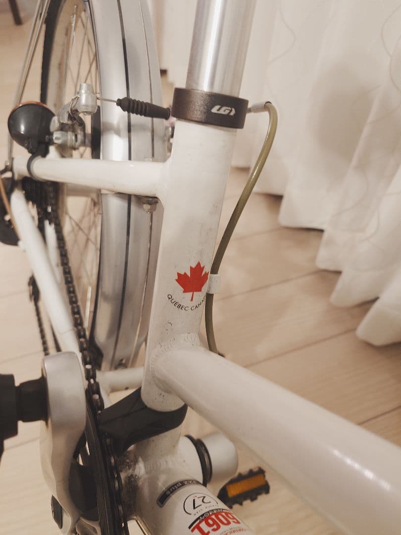 【22インチ子供用自転車 】ルイガノJ22 Plus ホワイト6段変速　中古