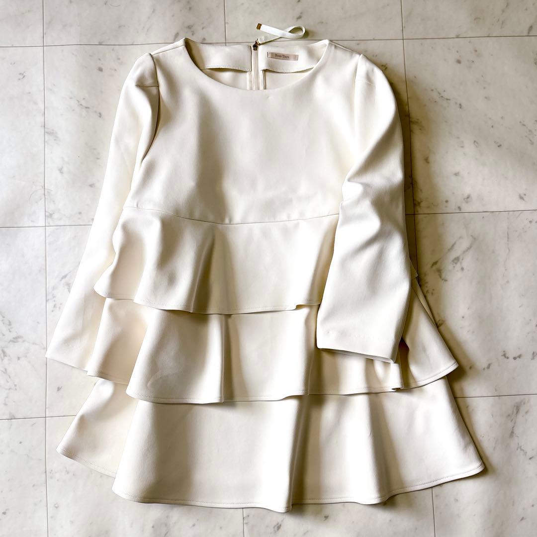 新品同様 ローズティアラ 大きいサイズ46 洗える ダンボールニットブラウス4L