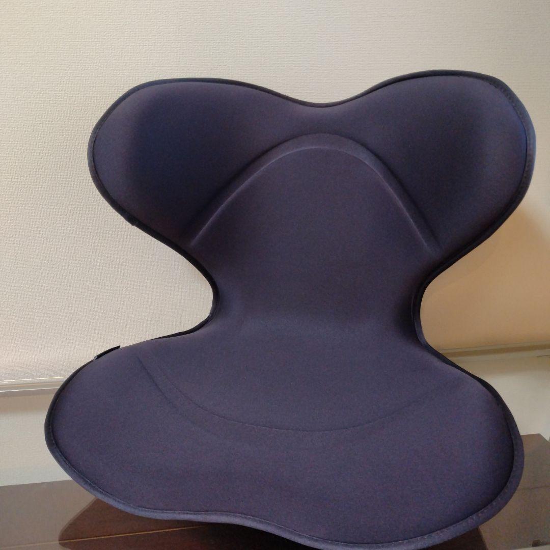 ✨️未使用級✨️極美品✨️ Style SMART スタイルスマート MTG