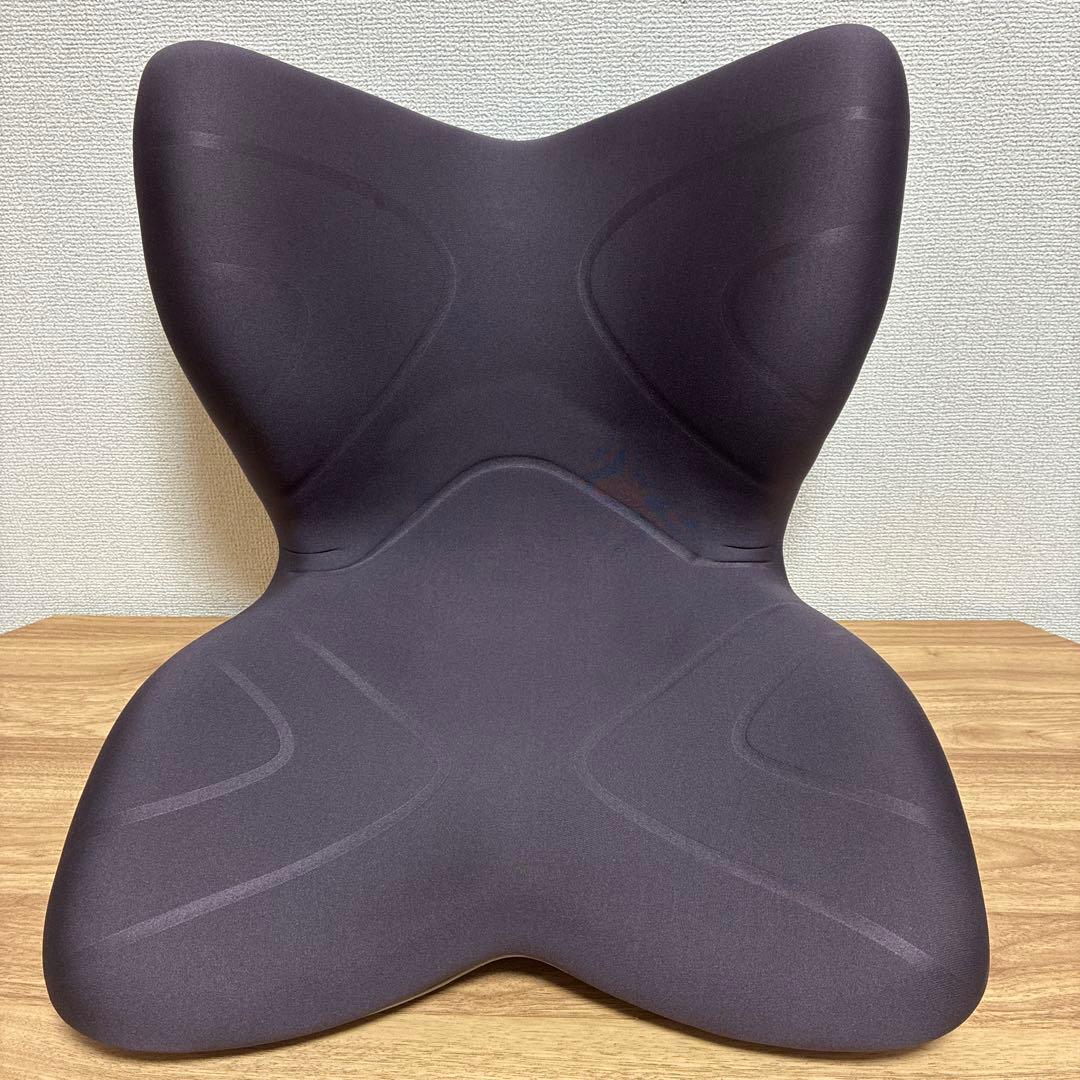 Style 骨盤・姿勢矯正クッション