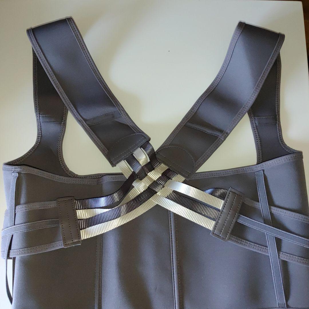 保阪尚希監修 姿勢補正ベルト シャキッとグイーン　保阪流ウェルネス　送料込み