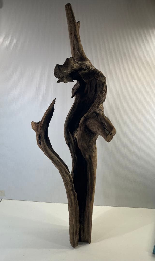 R71特大流木 アク抜き済み流木 爬虫類シェルター 登り木 インテリア 生け花