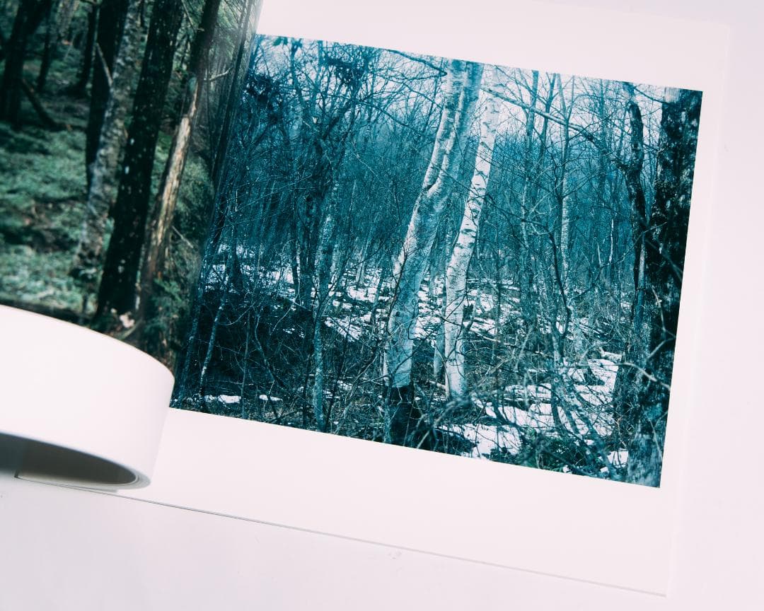 光と重力 - 今井智己 写真集