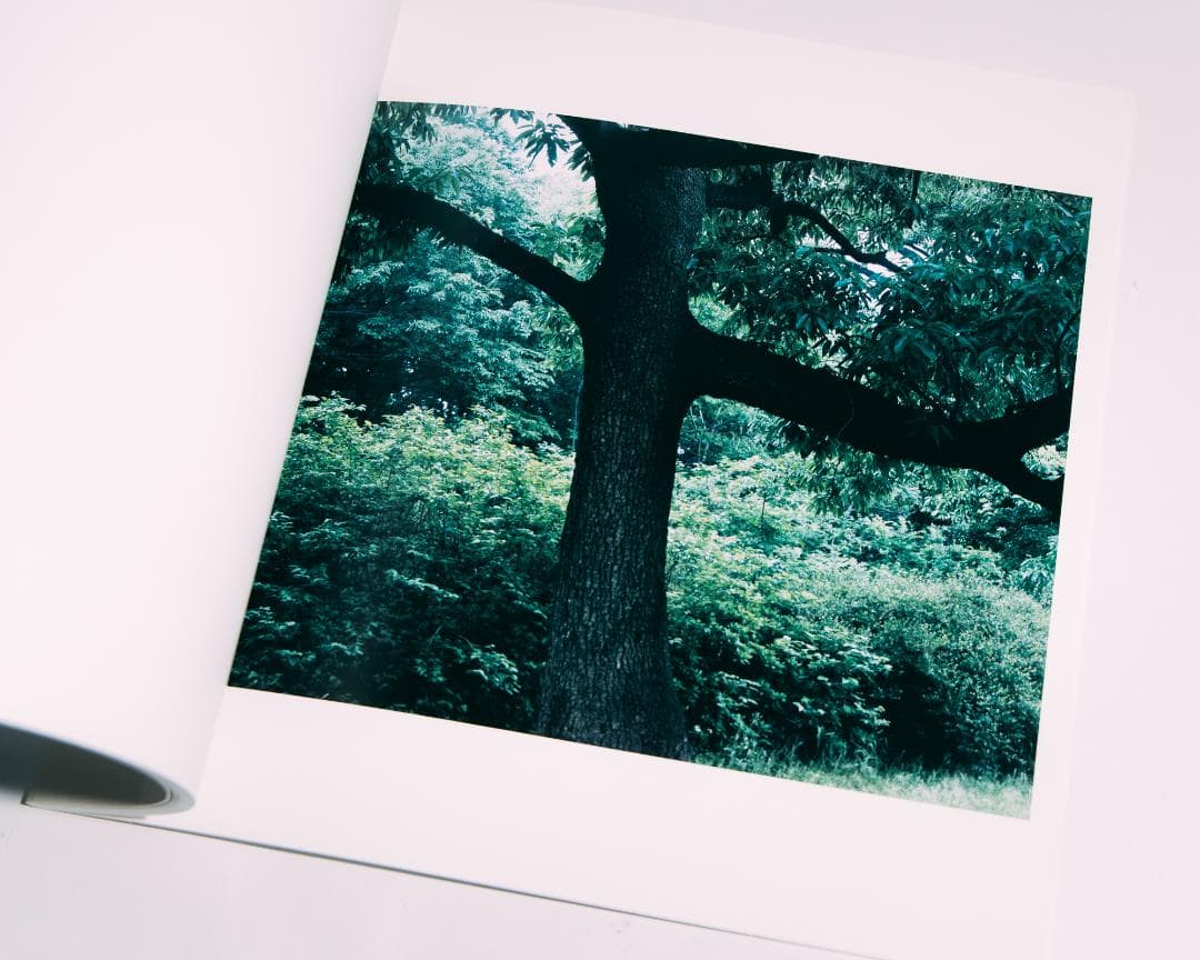 光と重力 - 今井智己 写真集