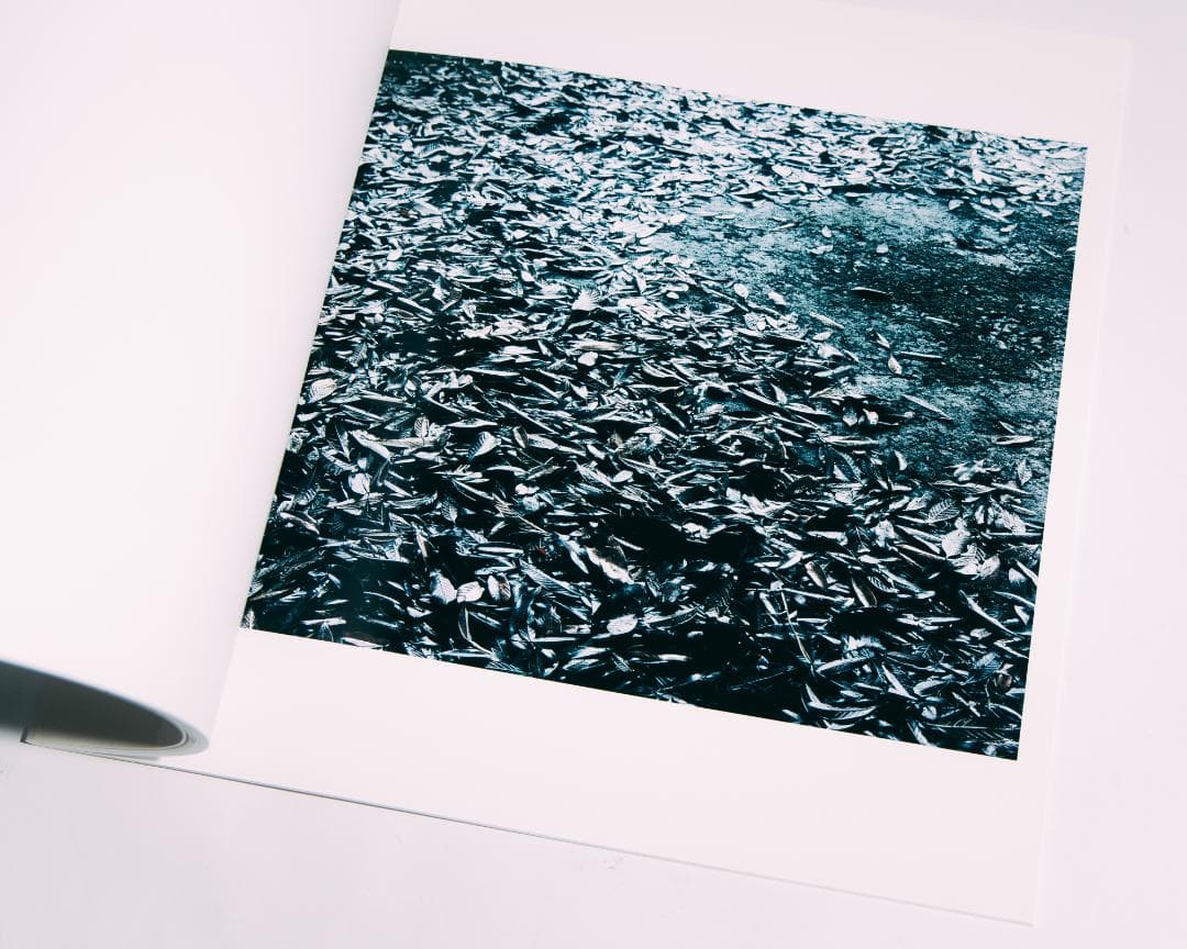 光と重力 - 今井智己 写真集