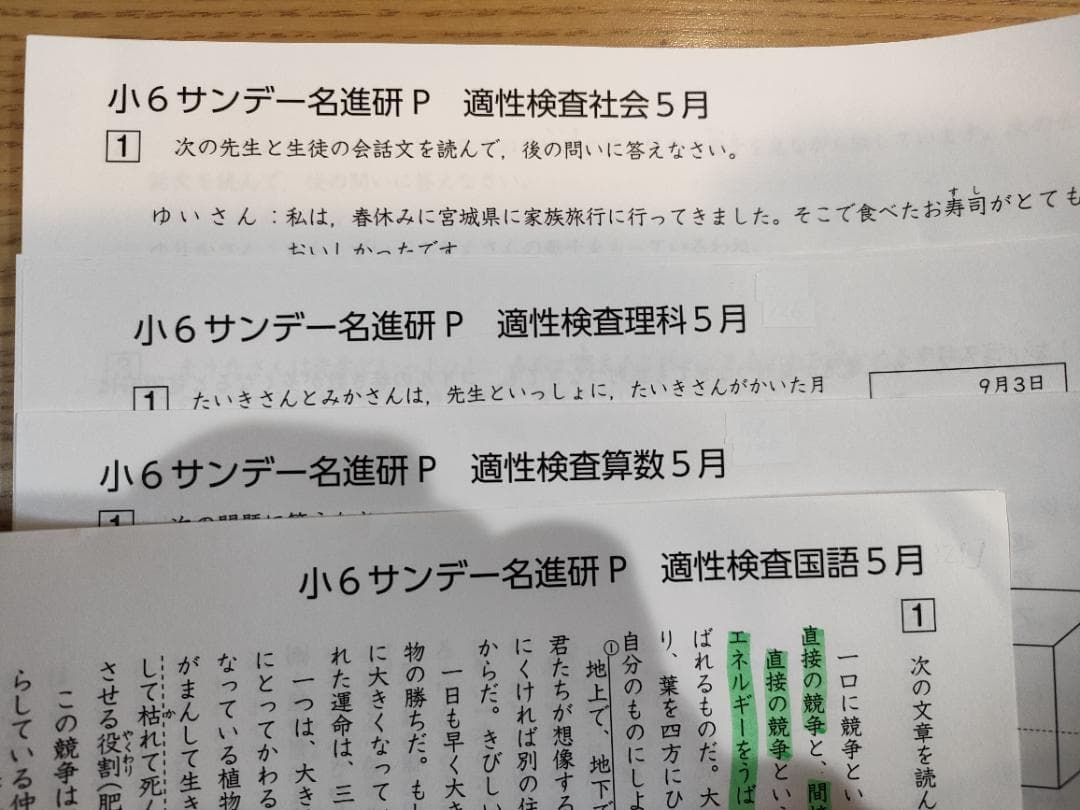 愛知県公立中高一貫校対策　サンデー名進研Pプリント（2024年4月～7月、小６）