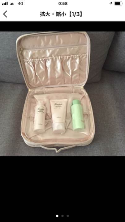 アルビオン オリジナル トラベルポーチ(非売品)