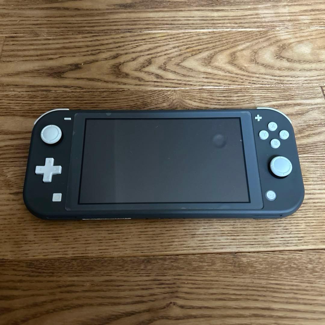 Nintendo Switch Lite グレー カバー、ケース付き