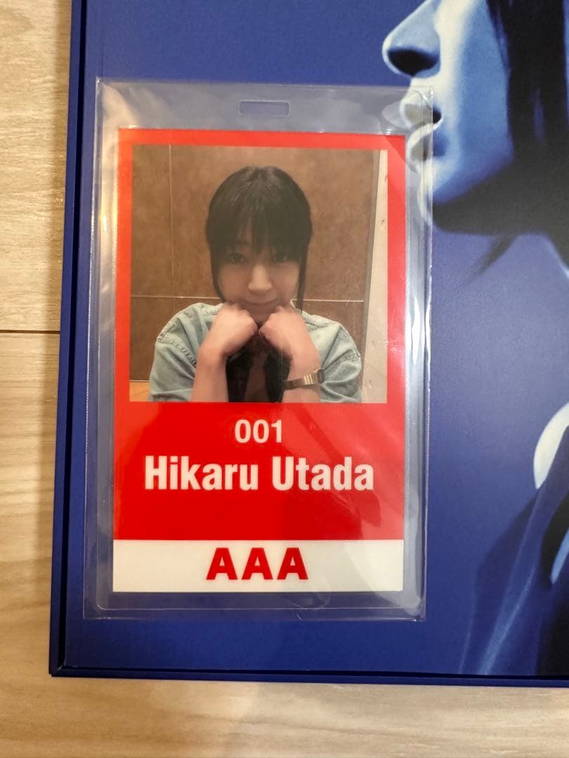 宇多田ヒカル Laughter in the Dark  ステージパス