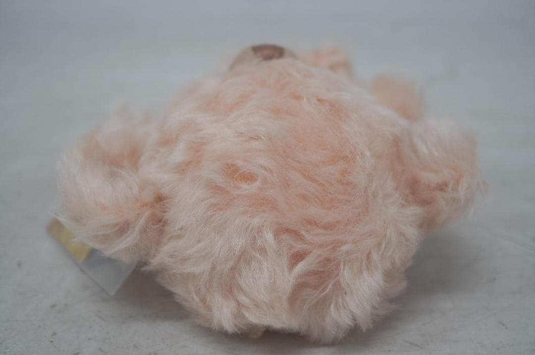 【M2512-18】 限定1体 メリーソート テディベア チーキー サンプル