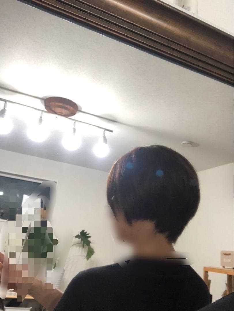 人毛100% フルウィッグ　ショートボブ　ブラウン