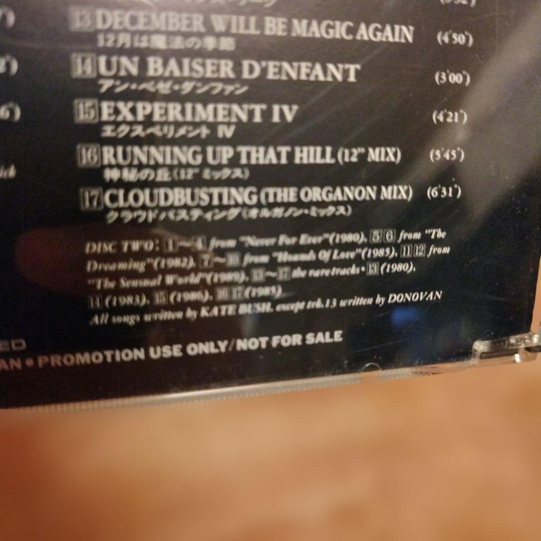 KATE BUSH ケイト・ブッシュ