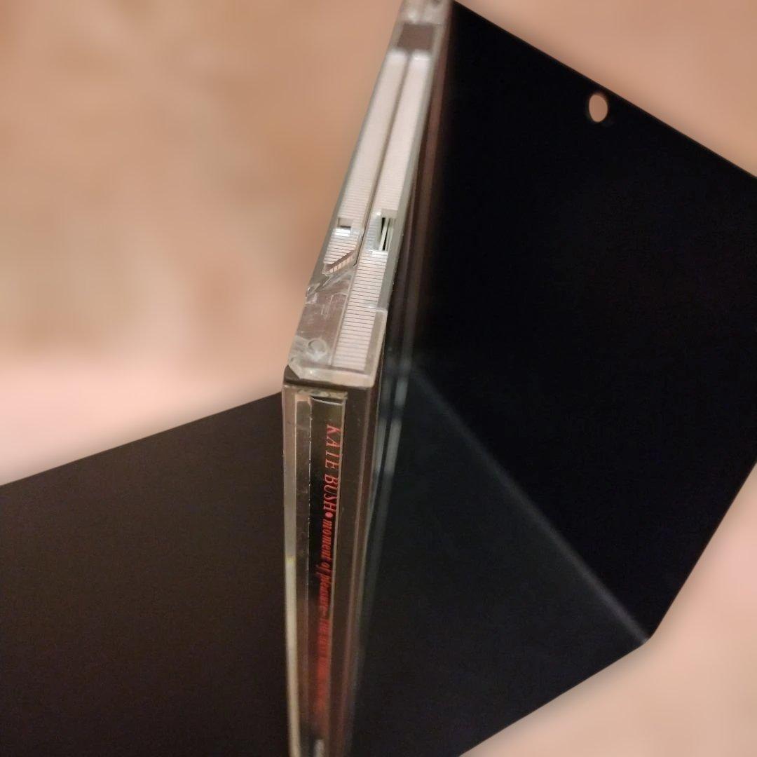 KATE BUSH ケイト・ブッシュ