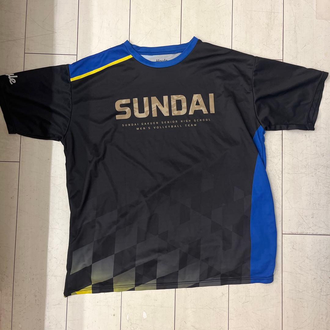 駿台学園バレーボールTシャツ練習着