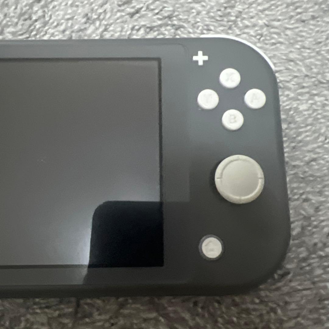 Nintendo Switch Nintendo Switch light GRAY