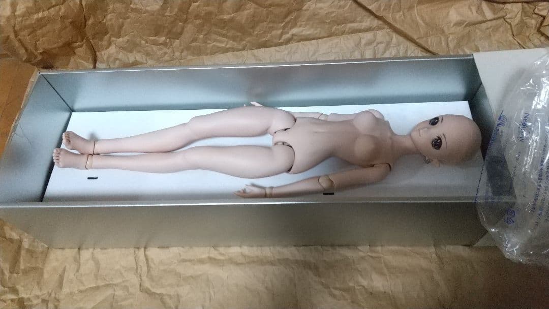 ドルフィードリーム メルティ シャイニングハーツ