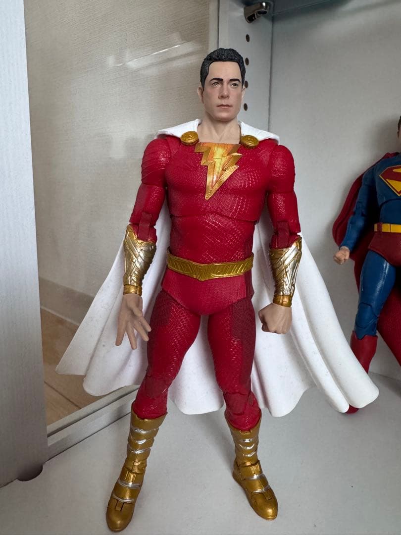 DCEU フィギュア　10体セット