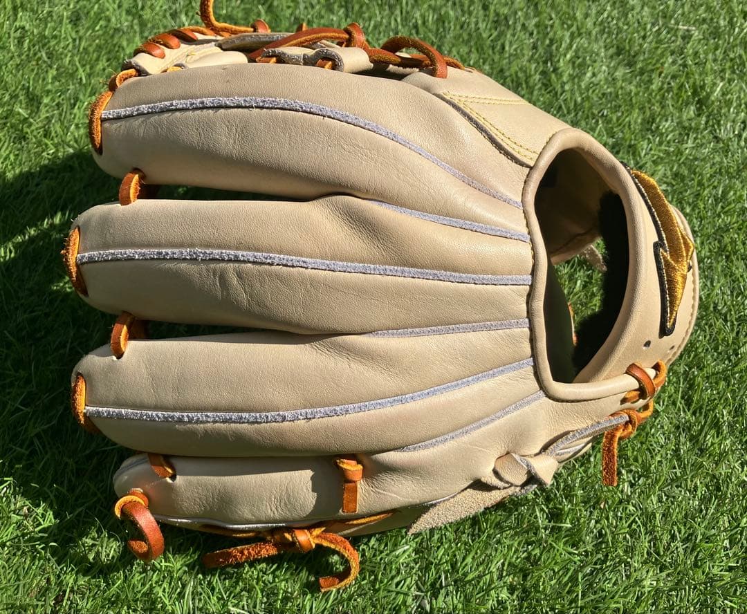 ミズノプロ　硬式　プレキシーエリート　グローブ