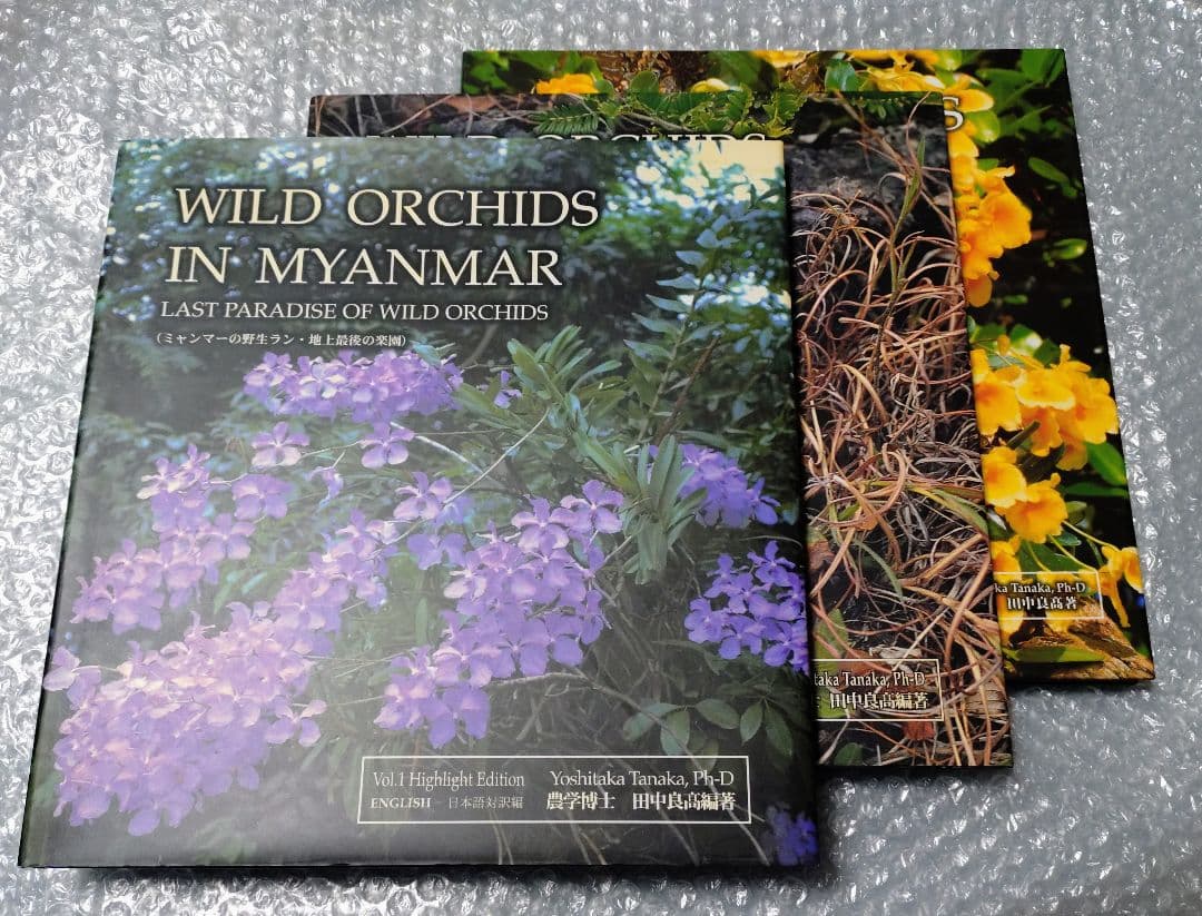 ミャンマーの野生ラン WILD ORCHIDS IN MYANMAR 〜