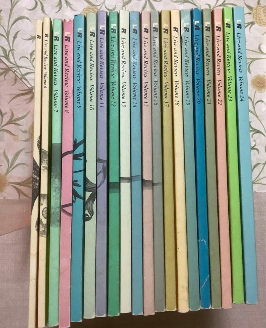 アート・マガジンLR〈エル・アール〉20巻セット