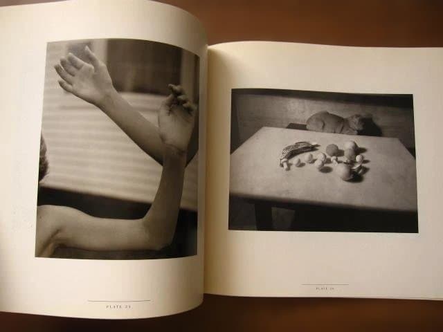 Susan Kismaric JAN GROOVER　ヤン・グルーバー