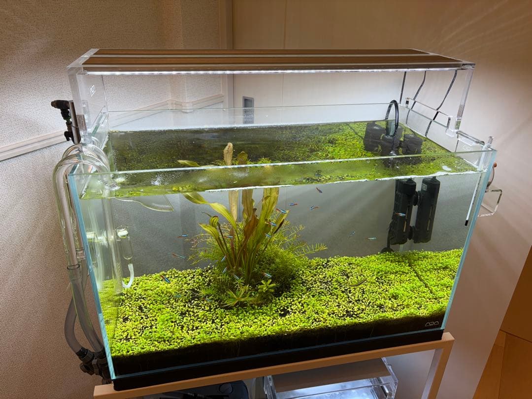 ADA アクアデザインアマノ アクアスカイ602 AQUASKY 602