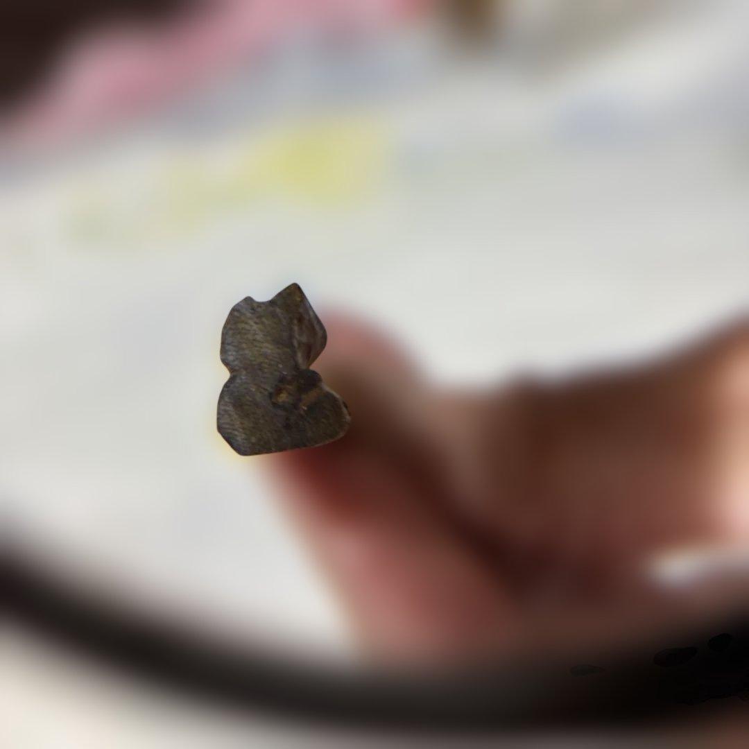 ベトナム産　天然❗️伽羅こぼく2.2グラム