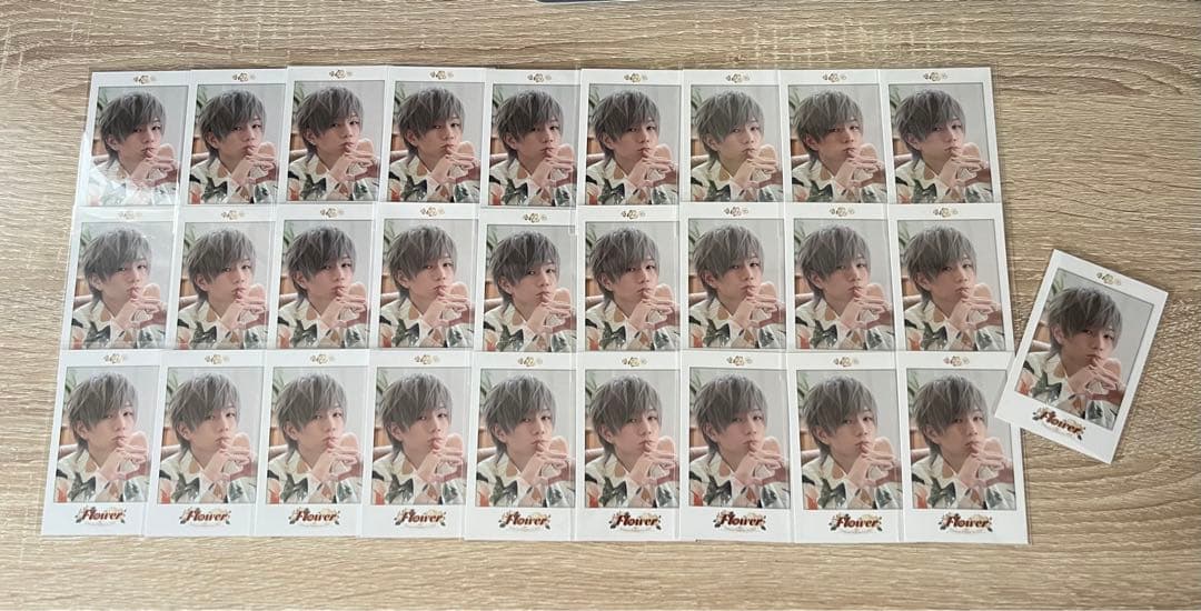 うらたぬき チェキ風カード 28枚セット