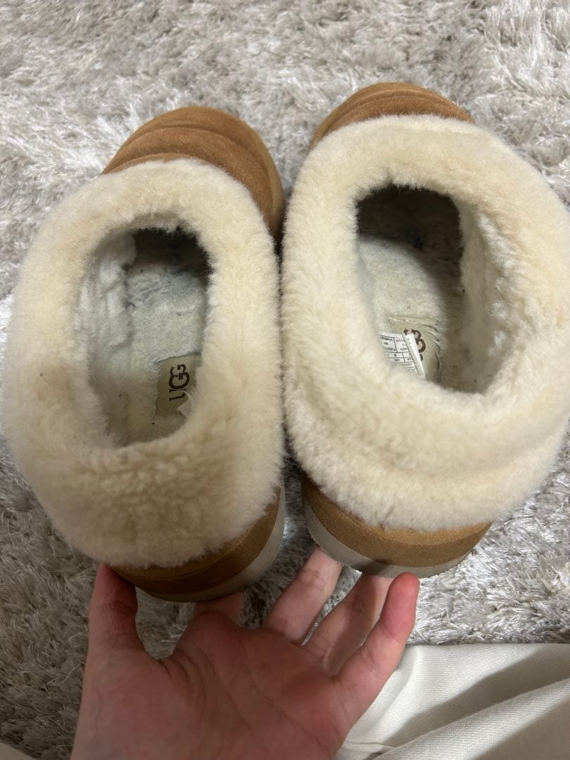 れ*い様 UGG ブーツ スリッポン tazzlita 25cm