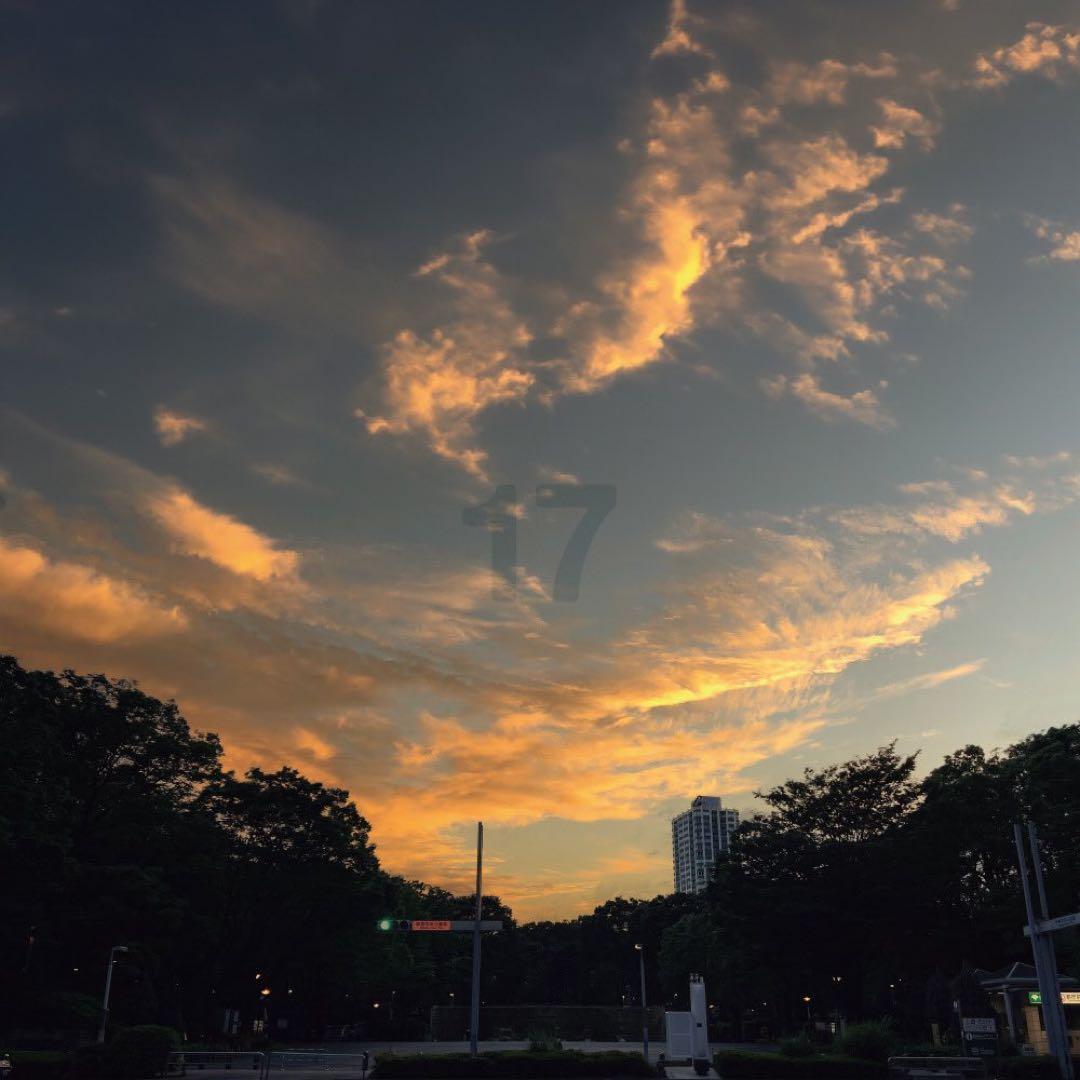 cali≠gari 入場特典CD2枚＋アルバム17