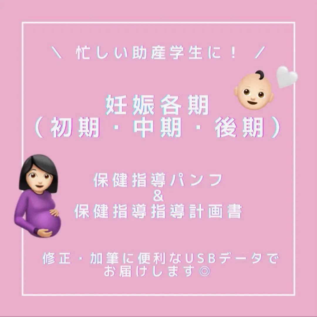 ❤️助産❤️［全部セット］保健指導パンフレット（媒体）&指導計画書　USBデータ