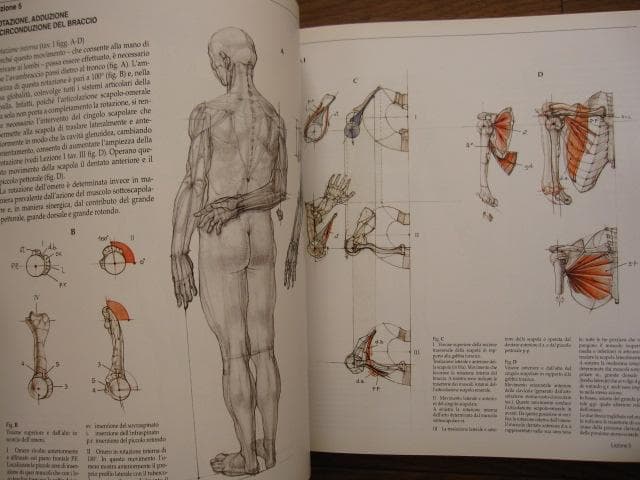 アート・デザイン・音楽 Struttura uomo in movimento