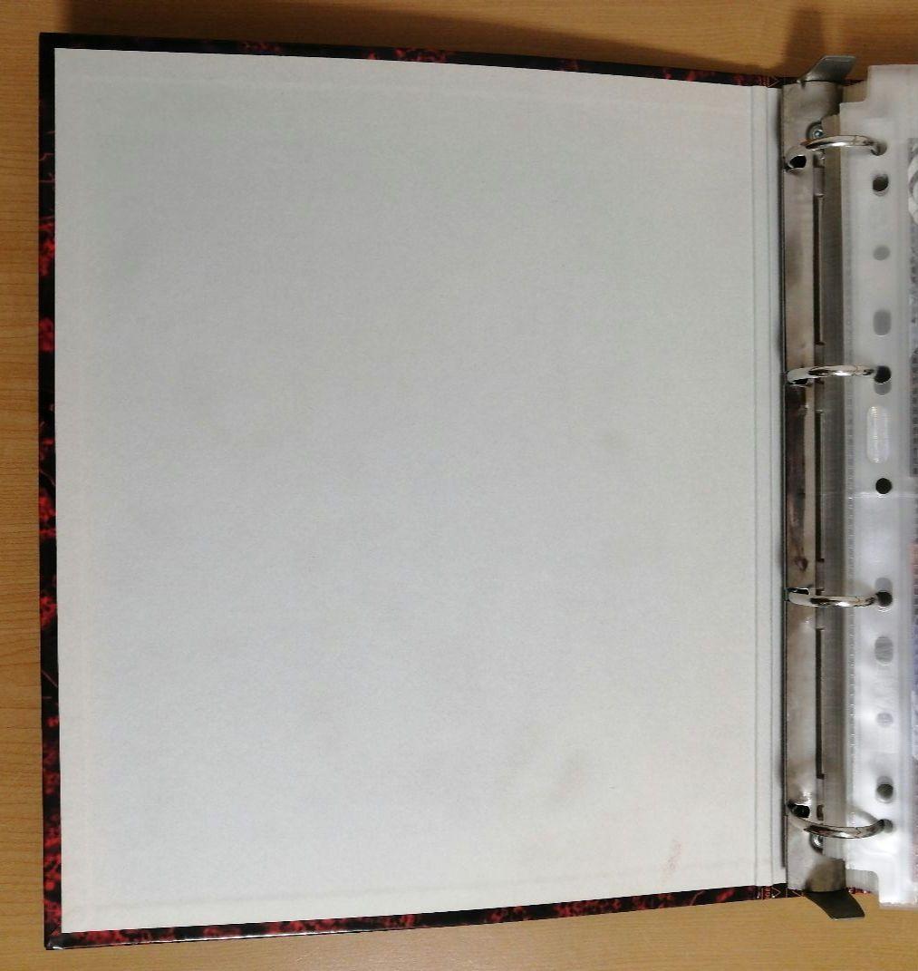 カードダスマスターズワイド 新世紀エヴァンゲリオン劇場版 264種類フルコンプ