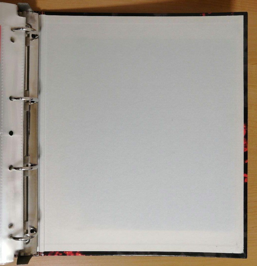 カードダスマスターズワイド 新世紀エヴァンゲリオン劇場版 264種類フルコンプ