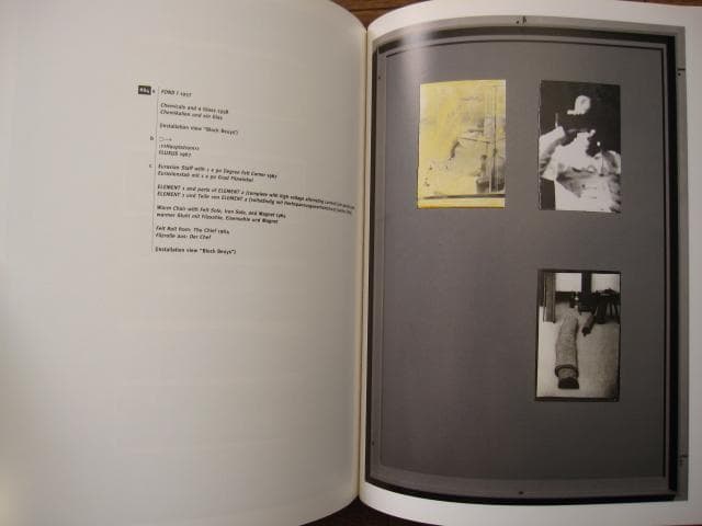 アート・デザイン・音楽 Joseph Beuys: Arena Where Would I Have