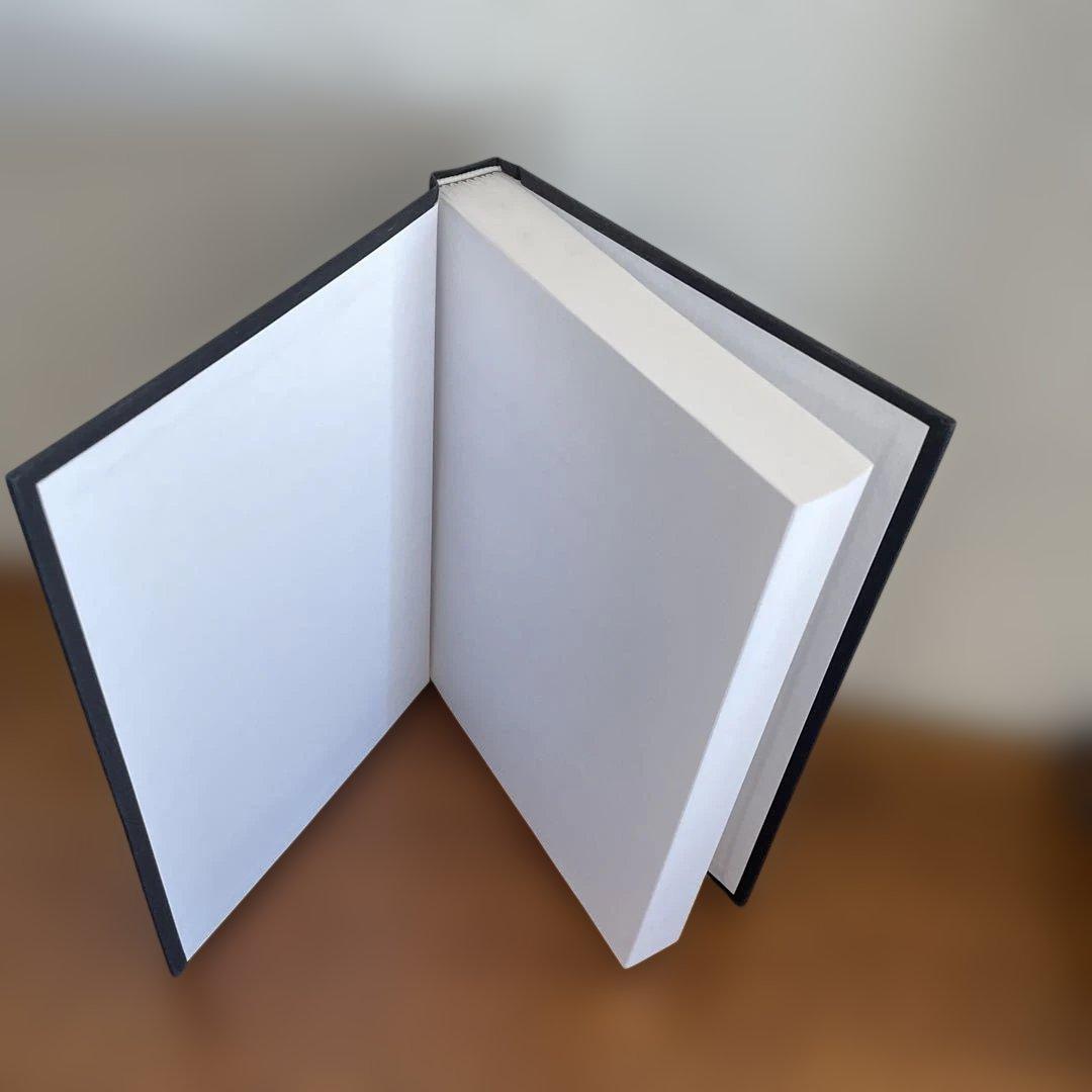 洋書 The Everett Interpretation of Quantum