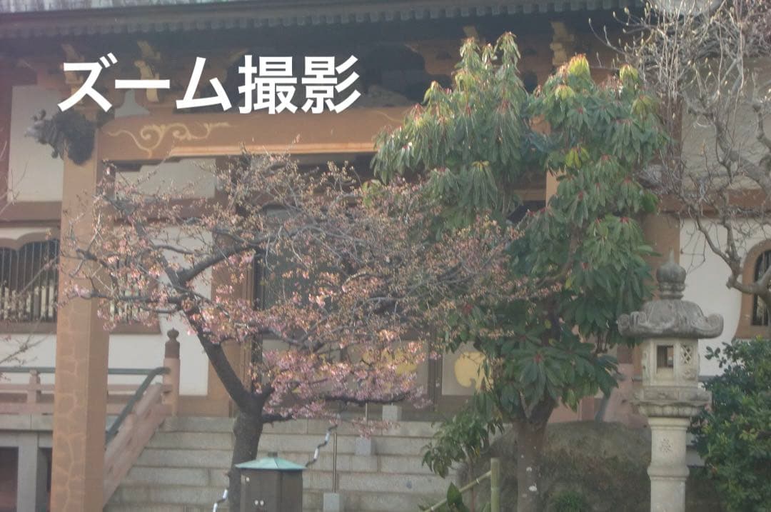 実写美⭕️美品【動作確認済】CASIO　EXILIM EX-Z450 ピンク