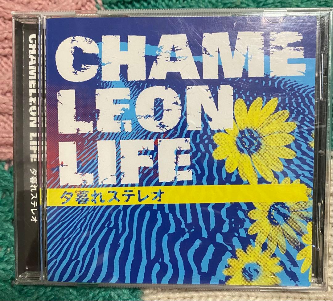 カメレオンライフ　夕暮れステレオ　秋田ひろむ