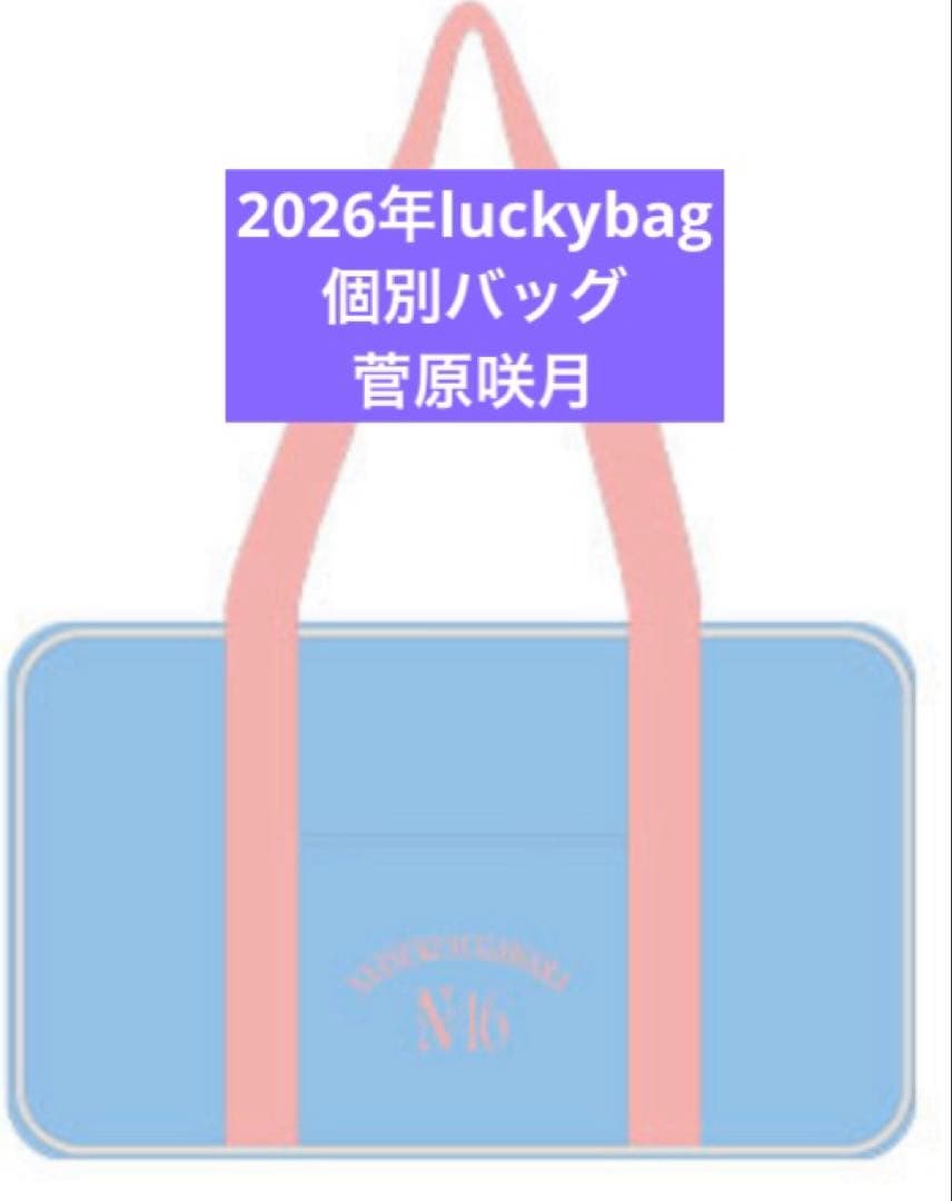乃木坂46　限定 個別バッグ　菅原咲月　バック　2026 luckybag