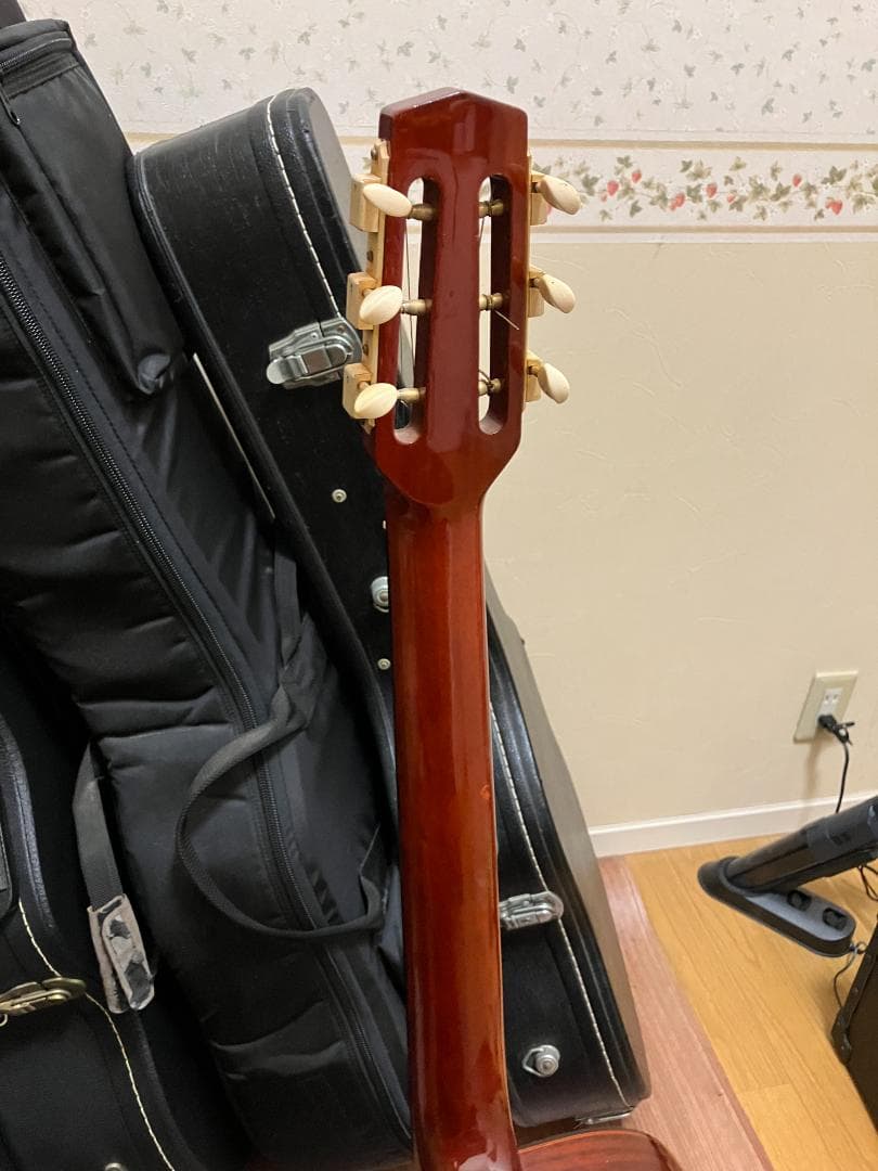 ARIA MM-20 DLX　ジプシージャズ　ギター　ハードケース付属