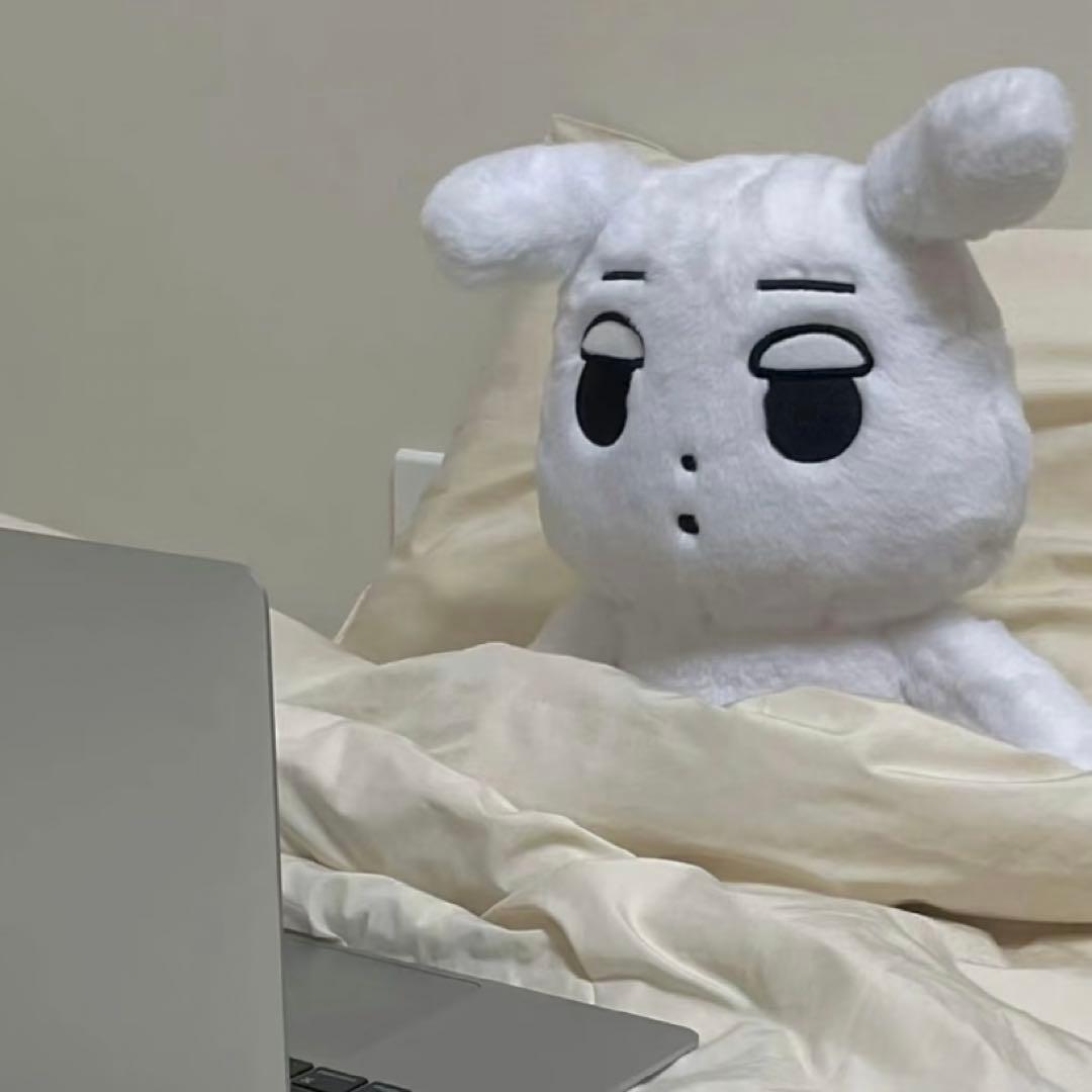 m*n様 aespa ウィンター ぬいぐるみ 40cm 新品