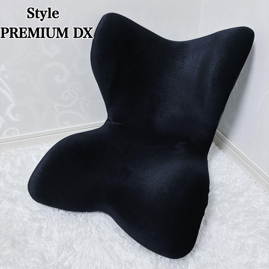 MTG Style PREMIUM DX 骨盤矯正 姿勢矯正クッション ブラック