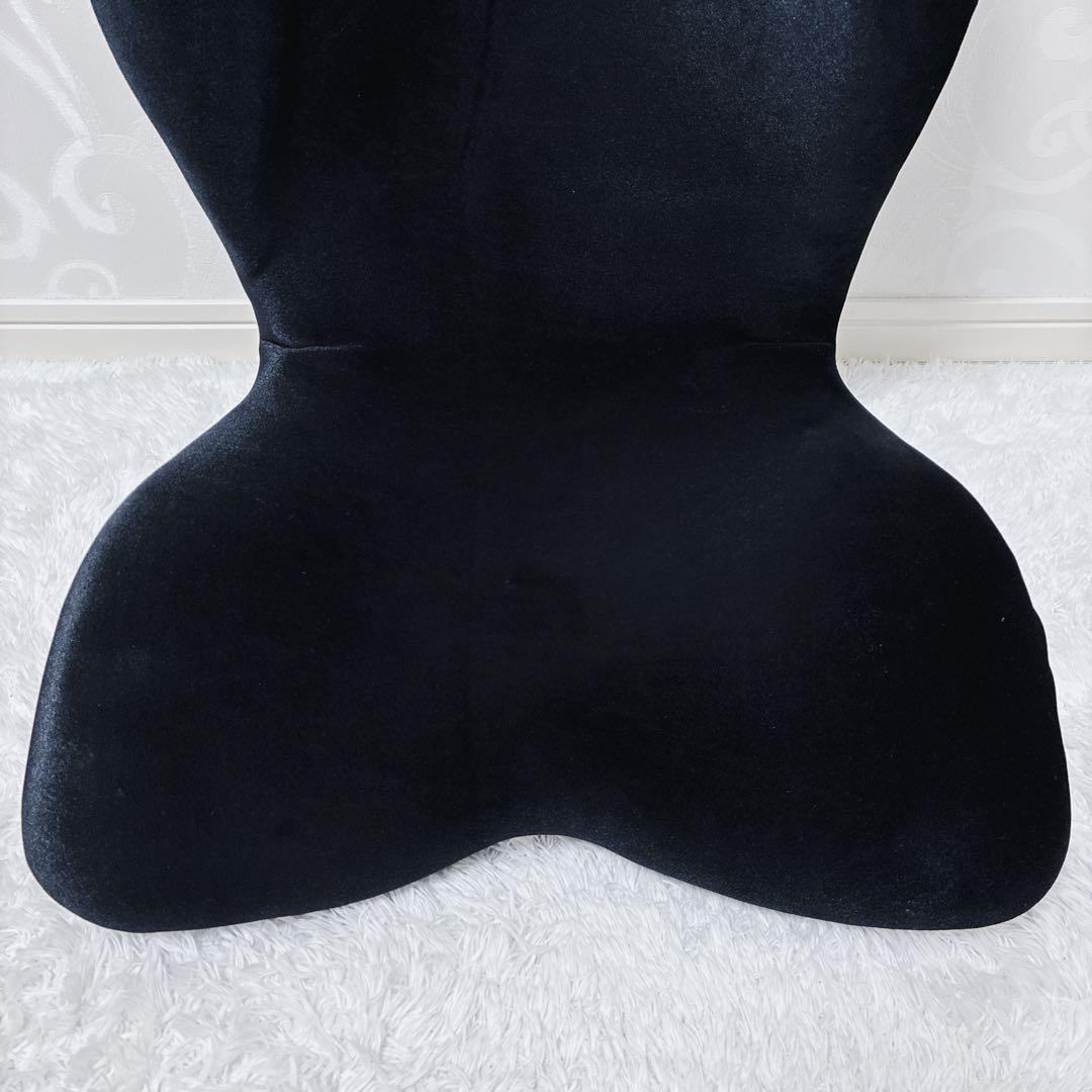 MTG Style PREMIUM DX 骨盤矯正 姿勢矯正クッション ブラック